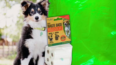 Dollar tree dog poop bags best sale